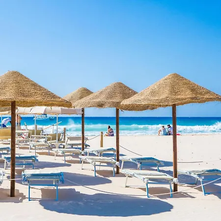 Paradiso فيلة بولا